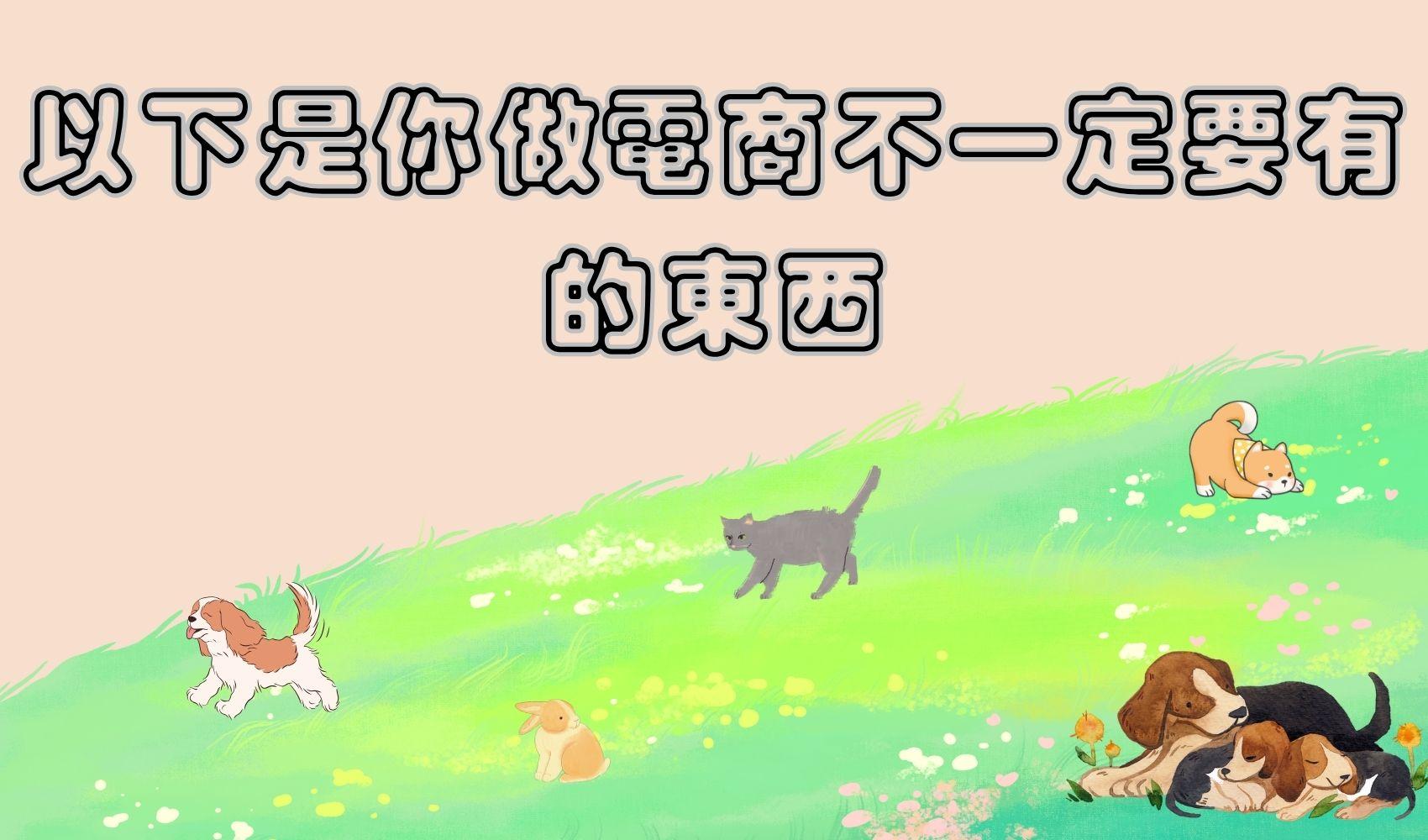 以下是你做電商不一定要有的東西