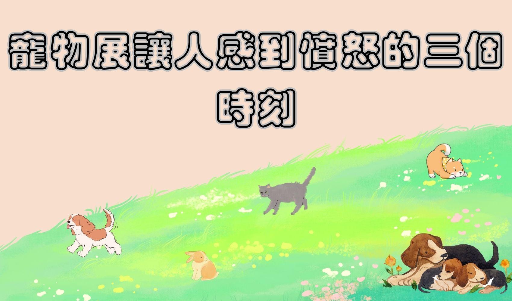 寵物展讓人感到憤怒的三個時刻