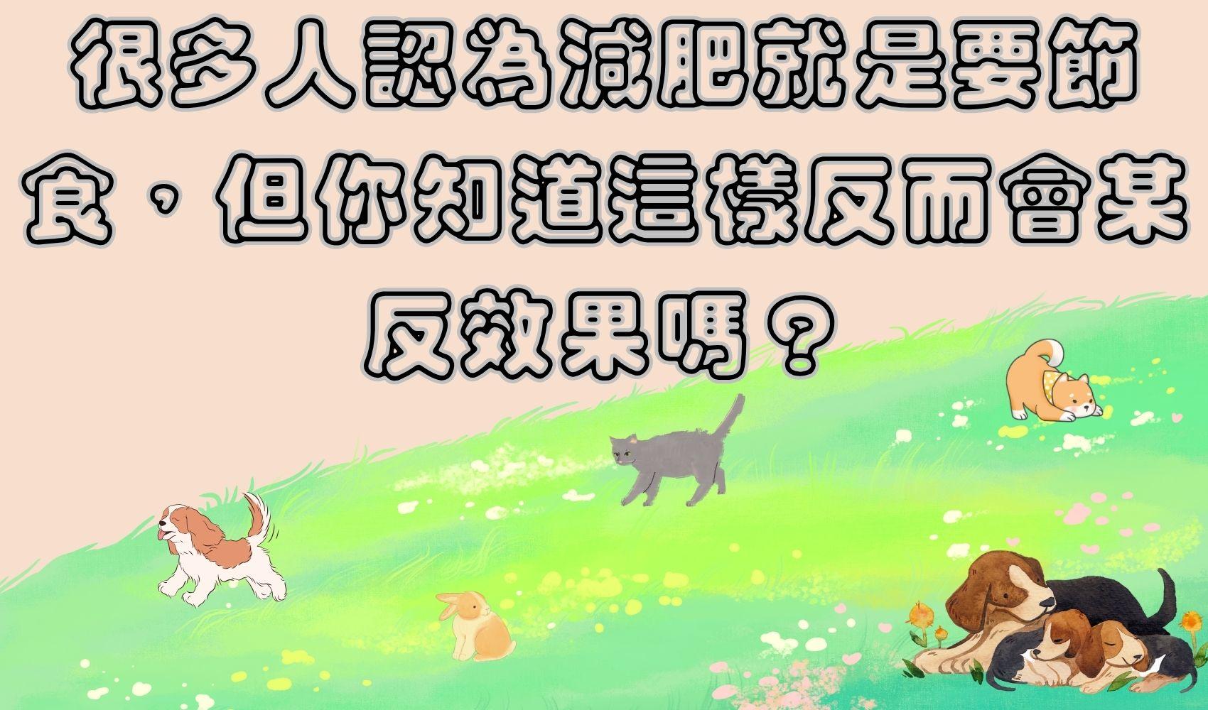 很多人認為減肥就是要節食，但你知道這樣反而會某反效果嗎？