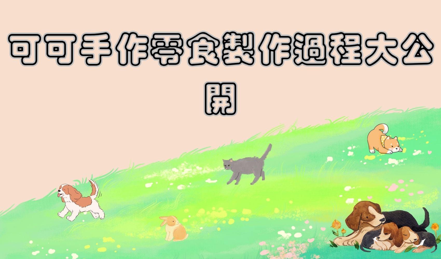 可可手作零食製作過程大公開