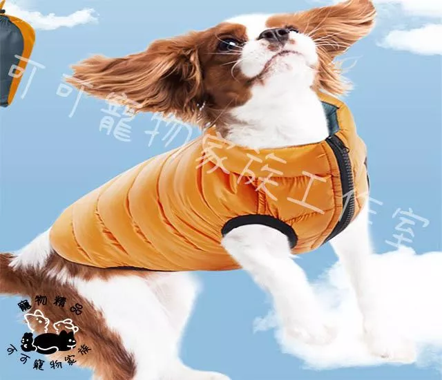 【預購】輕量雙面防風外套