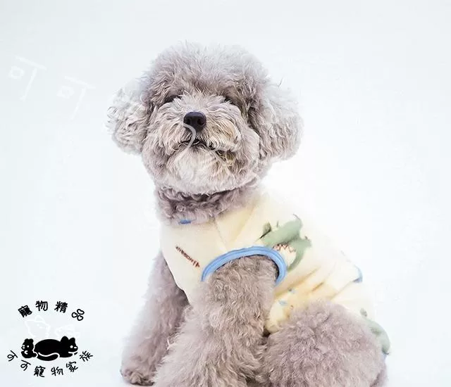【預購】大型犬保暖衣