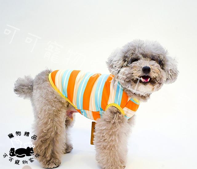 【預購】大型犬保暖衣
