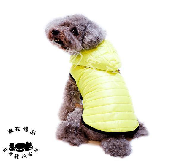 【預購】大型犬馬卡龍風衣