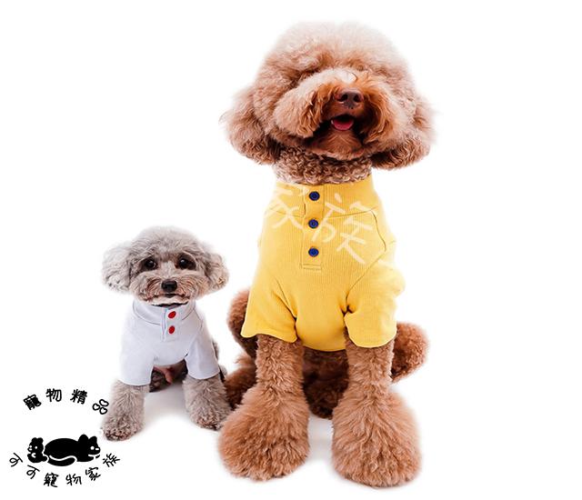 【預購】大型犬坑條高領上衣