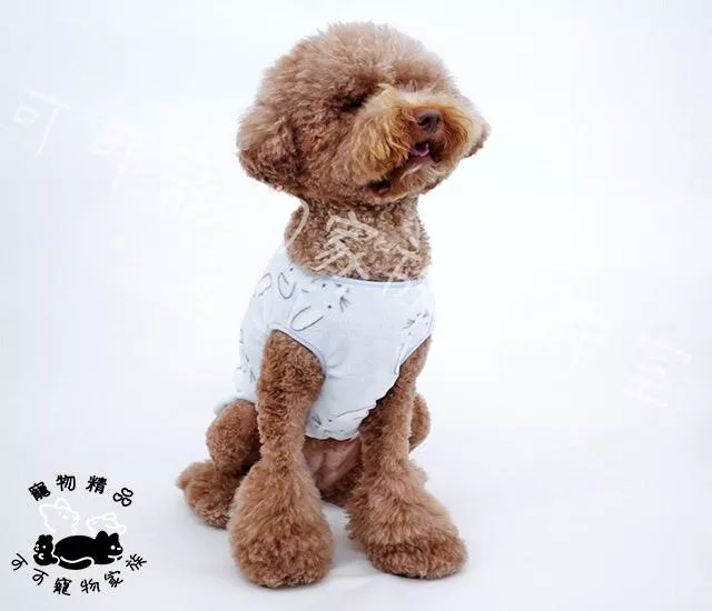 【預購】大型犬保暖衣