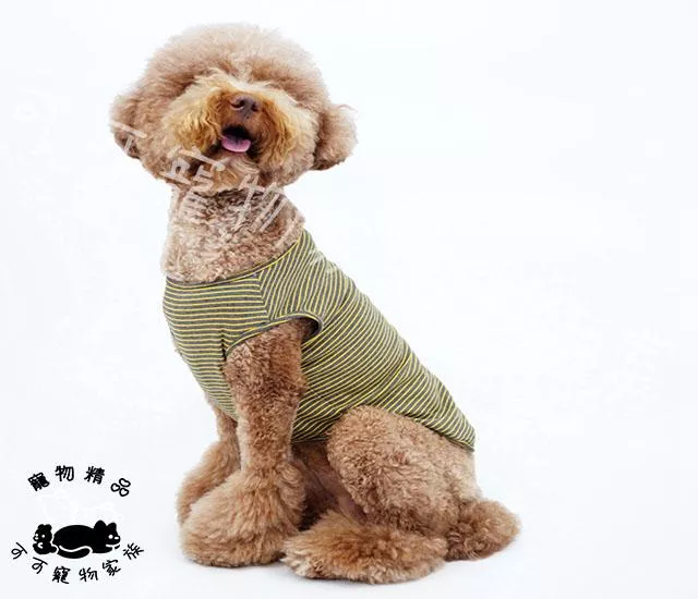 【預購】大型犬條紋皮標棉衣