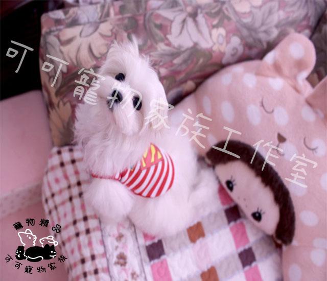 【預購】幼犬迷你保暖衣