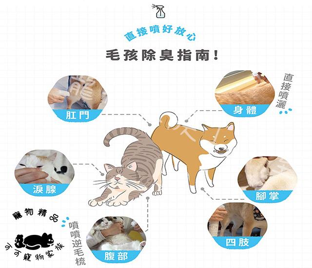 【預購】光能淨-瞬間去味