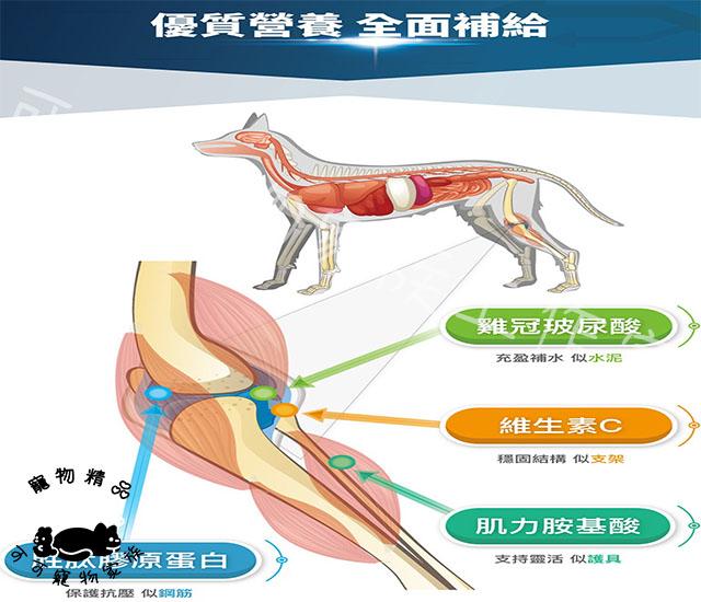 【預購】木入森-犬寶有關膝