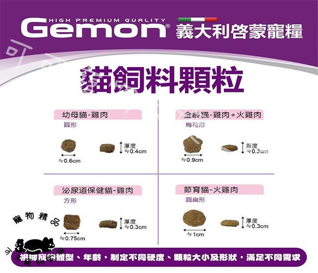 【預購】gemon啟蒙貓飼料