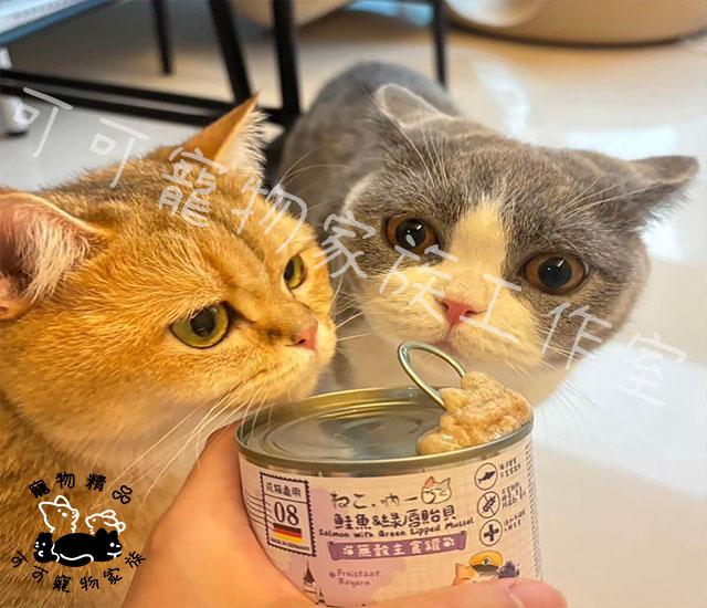 【預購】吶一口德國主食貓罐