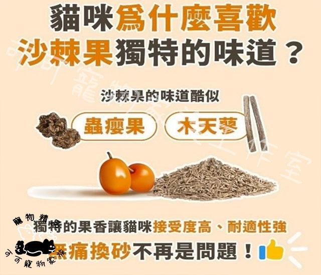 【預購】喵喵小窩豆腐砂