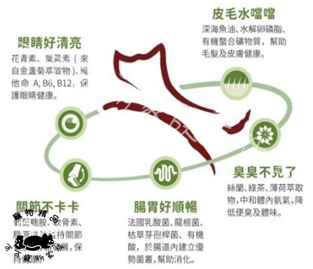 【預購】瑞威貓用貓飼料