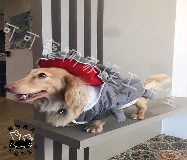 【預購】★ 怪獸之王 🦖★ 造型外套 哥吉拉風