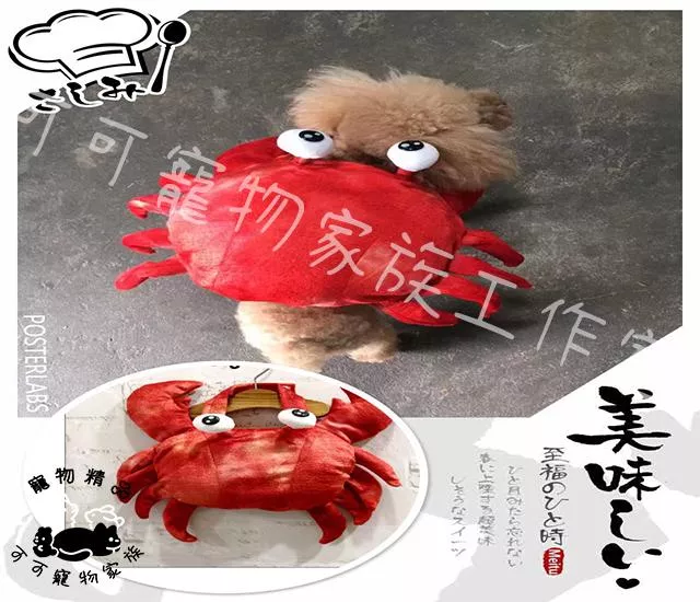 【預購】★ 螃蟹裝★ 秋蟹 義大利設計師 (版型偏大)