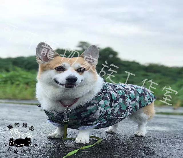 【預購】★雨衣/風衣