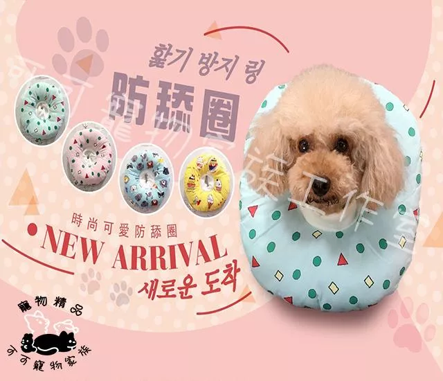 【預購】★加大防潑水 防舔圈 ★寵物頭套 防舔頭套 伊莉莎白圈