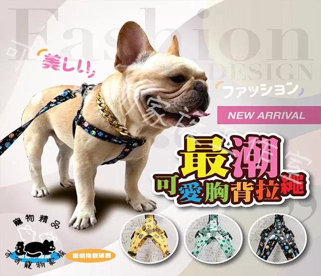 【預購】★ 寵物胸背 ★附拉繩