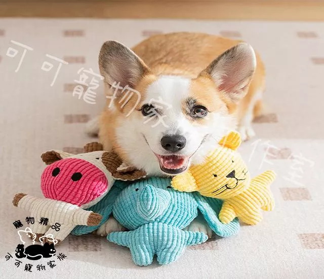 【預購】可愛狗狗耐咬磨牙幼犬毛絨發聲自嗨解悶玩具