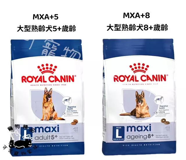 【預購】皇家大型熟齡犬狗飼料