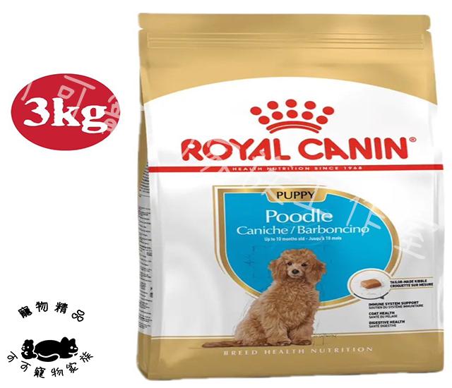 【預購】皇家貴賓成犬/幼犬狗飼料