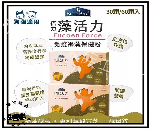 【預購】倍力藻活力