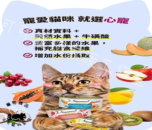 【預購】心寵Signature7貓咪水果湯罐