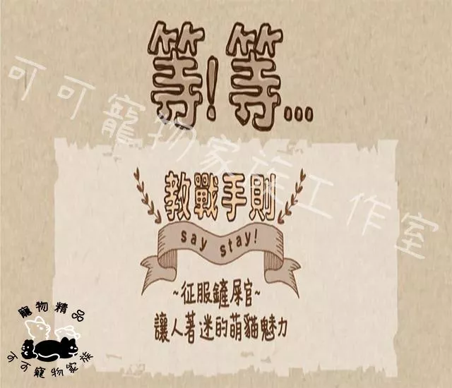 【預購】等等手撕貓零食