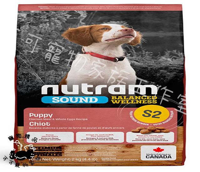 【預購】紐頓犬用均衡健康狗飼料系列