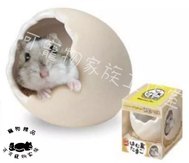 【預購】MARUKAN鼠鼠蛋蛋窩