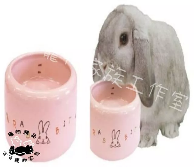 【預購】MARUKAN兔用加高陶瓷碗