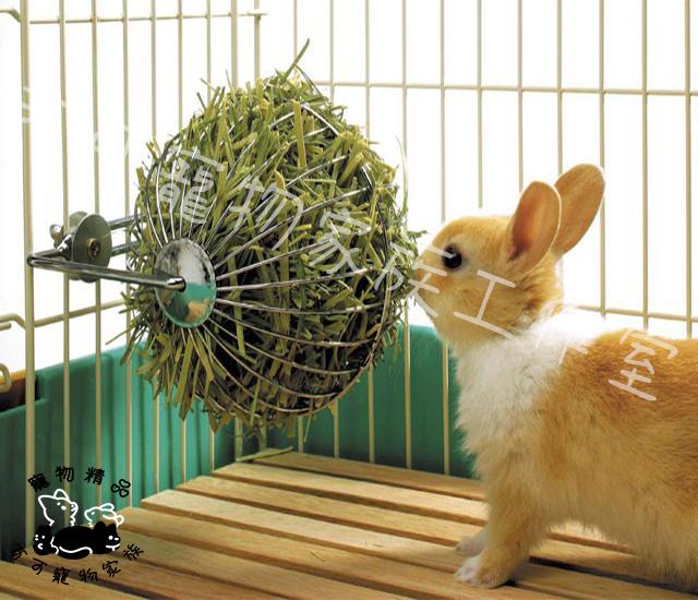 【預購】MARUKAN牧草球