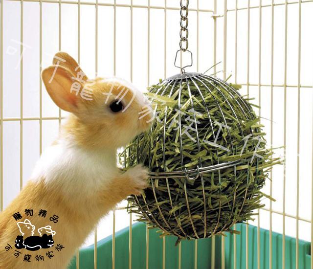 【預購】MARUKAN牧草球