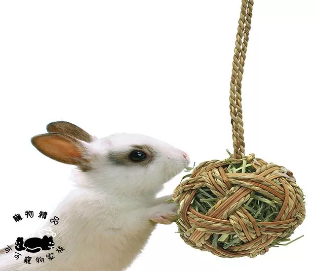 【預購】MARUKAN天然磨牙牧草球