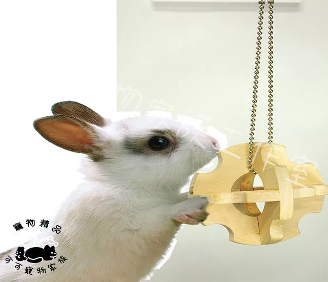 【預購】MARUKAN天然磨牙球