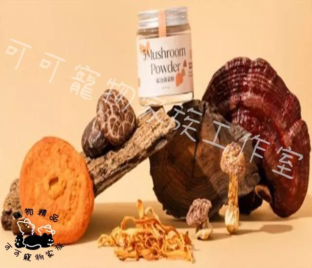 【預購】CIAOMI喬米plus+綜合菌菇粉 5