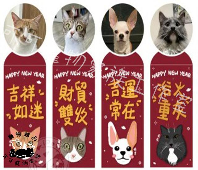 【預購】寵星球X新年紅包袋