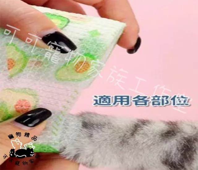 【預購】寵物防髒萬用繃帶