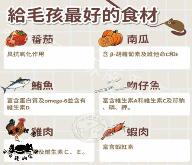 【預購】vosto鮮雞肉罐