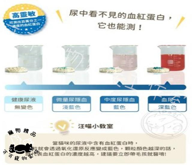【預購】汪喵星球隱血砂