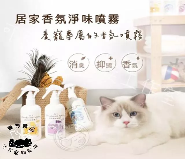 【預購】超凝小姐居家淨味噴霧