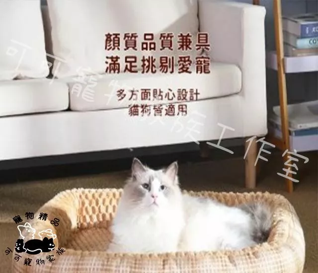 【預購】華夫格寵物睡窩