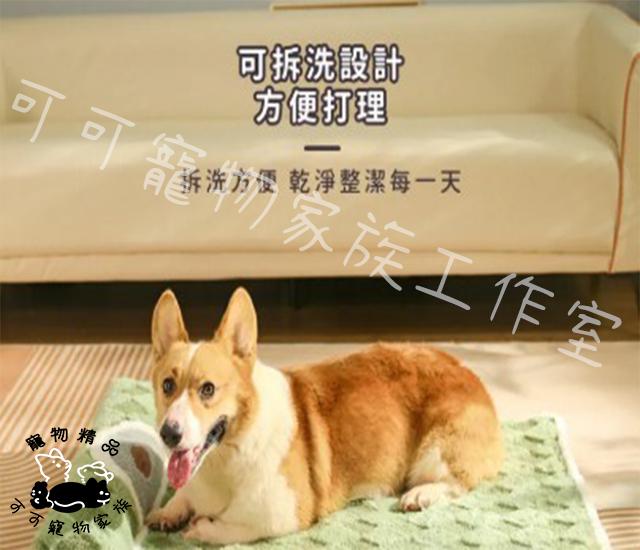 【預購】寵物毛絨靠枕睡墊