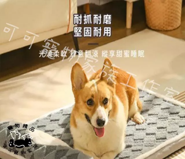 【預購】寵物毛絨靠枕睡墊