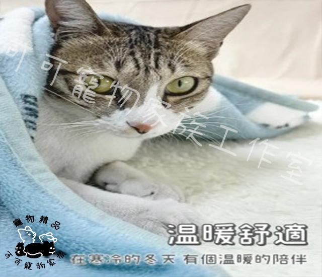 【預購】寵物日系卡通毛毯