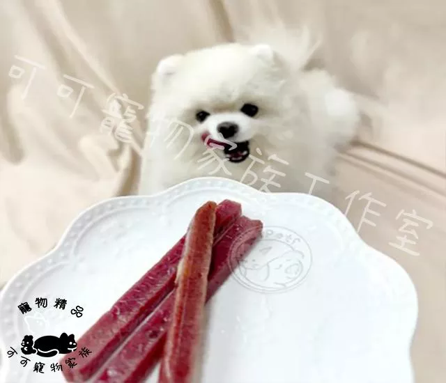 【預購】狗麻吉筷子肉乾