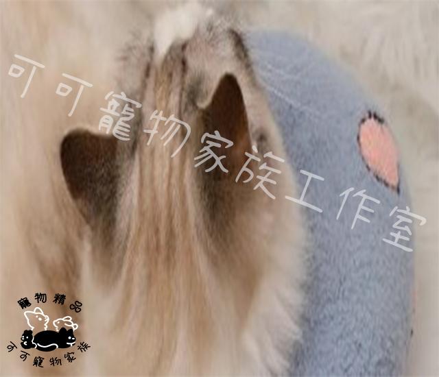 【預購】寵物抱枕