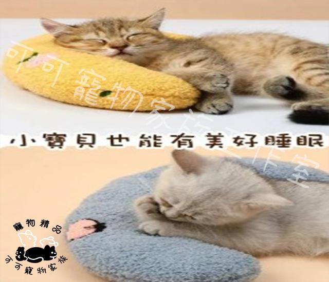 【預購】寵物抱枕