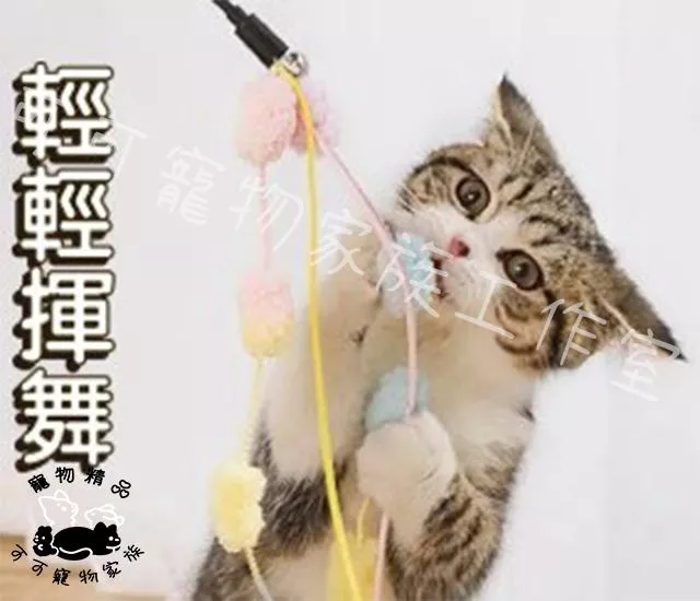 【預購】節節高逗貓棒(隨機出貨)
